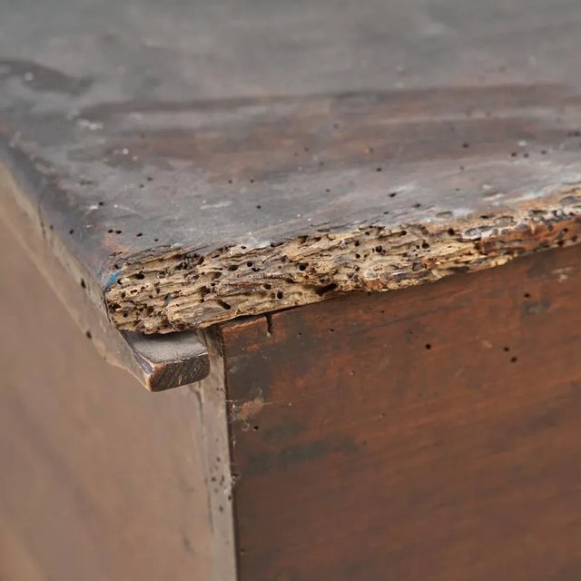 Trunk in Walnut, 1800s For Sale - Image 5 of 8