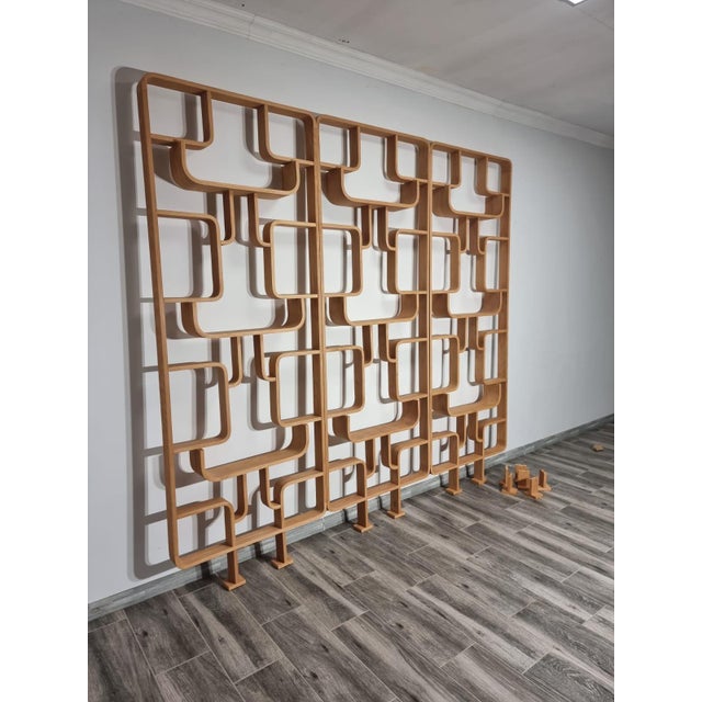 Room Dividers by Ludvik Volak for Drevopodnik Holesov, 1950s, Set of 3 For Sale - Image 6 of 11