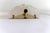 Shell-Shaped Murano Glass Wall Light For Sale - Image 4 of 7