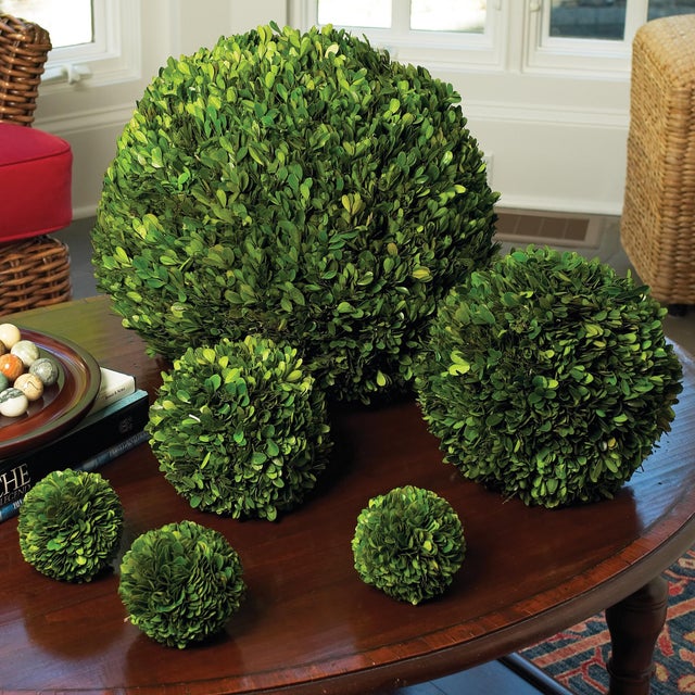 Real English boxwoods, preserved and painstakingly assembled by our masterful artists. This orb is artfully arranged and...