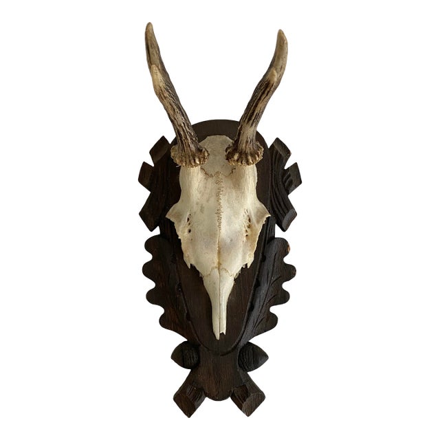 Vintage German Black Forest Deer Antlers For Sale