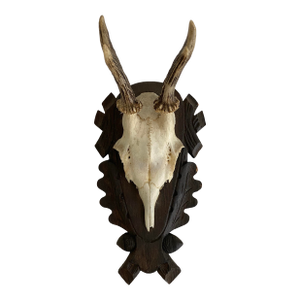 Vintage German Black Forest Deer Antlers
