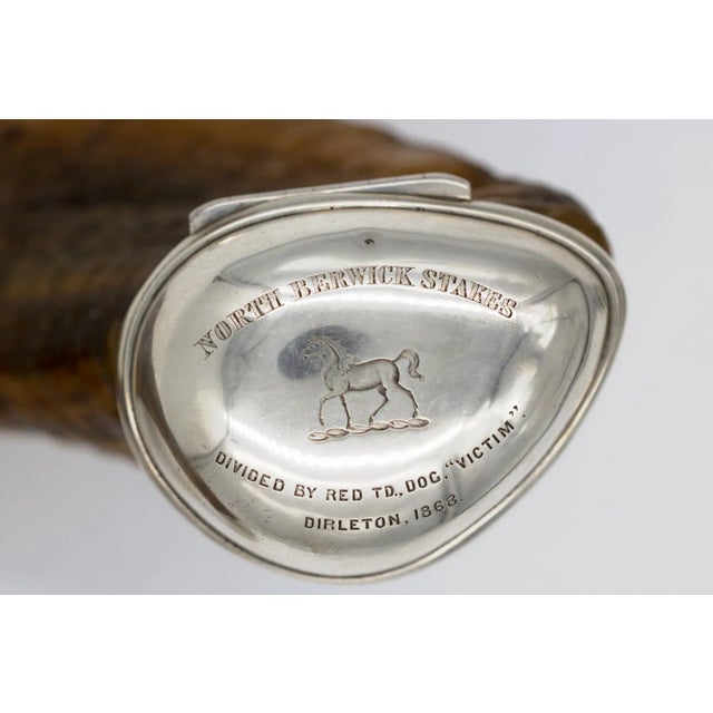 Brown 1868 Scottish Engraved Ram’s Horn Snuff Mull Trophy For Sale - Image 8 of 9