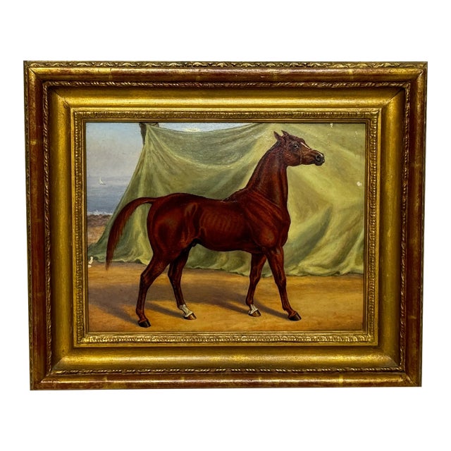 Circa Early 1900 English Victorian Oil Painting Purebred Red Chestnut Arab Horse in Bombay Stables I For Sale