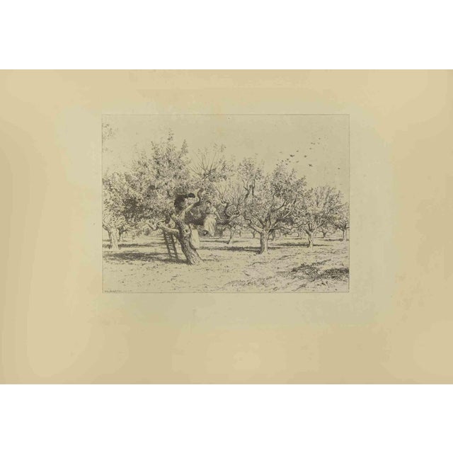Eugène Burnand, In The Garden, Etching, Late 19th Century For Sale