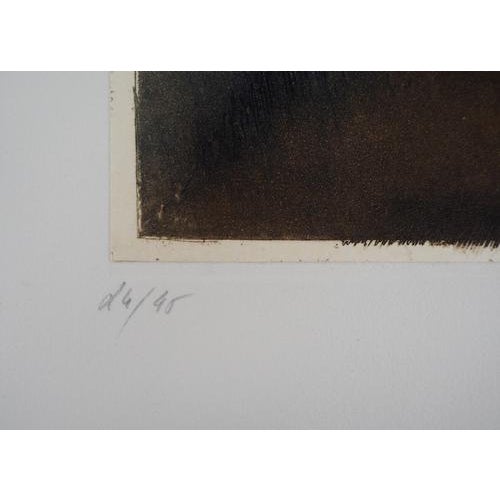 Erik Bersou, Like a Rain, Original Etching For Sale - Image 4 of 6