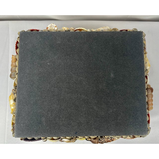 Large Multi Colored Natural Sea Shell Covered Box-Hinged For Sale - Image 10 of 10