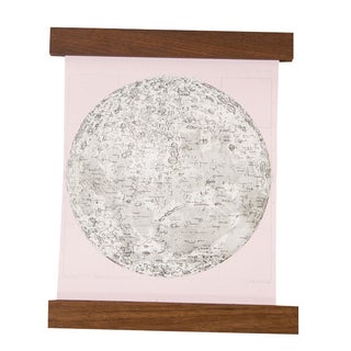 Antique Moon Chart Pull Down, Revival in Pink For Sale