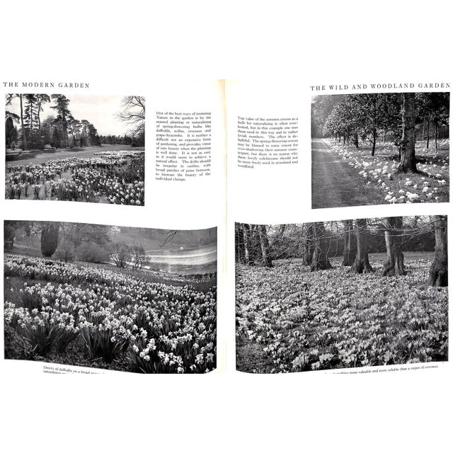 "The Modern Garden" 1949 Taylor, g.c. For Sale - Image 10 of 10