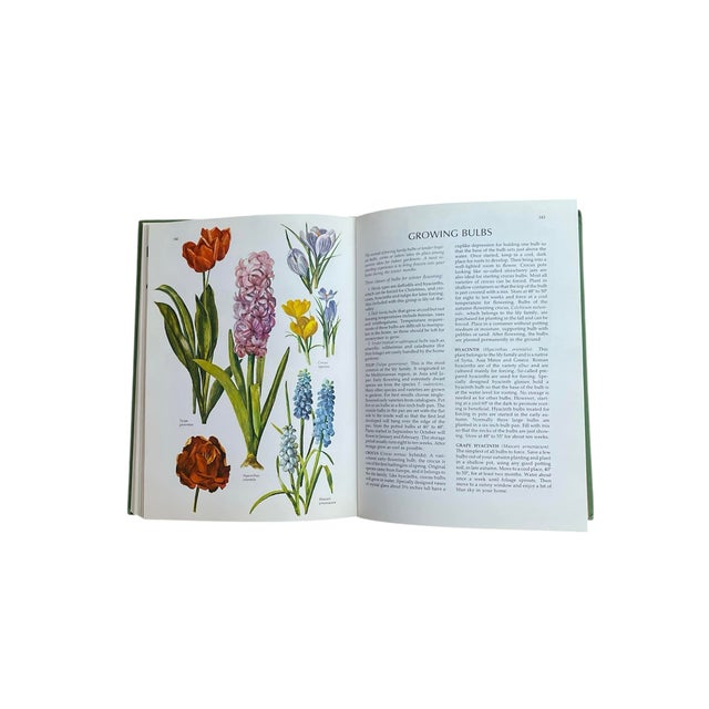1970s 1975 The Total Book of House Plants Full Color For Sale - Image 5 of 7