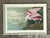 Vintage Audubon Print of Pink Spoonbill For Sale - Image 11 of 12