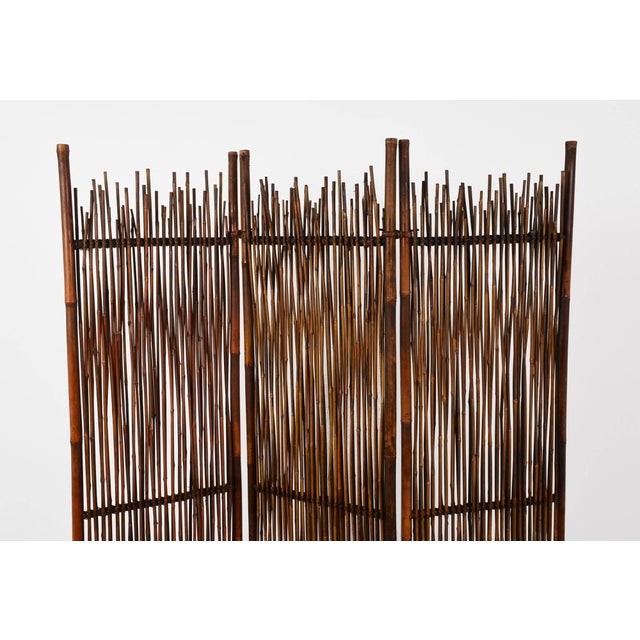 Beautiful and ancient screen in bamboo canes.