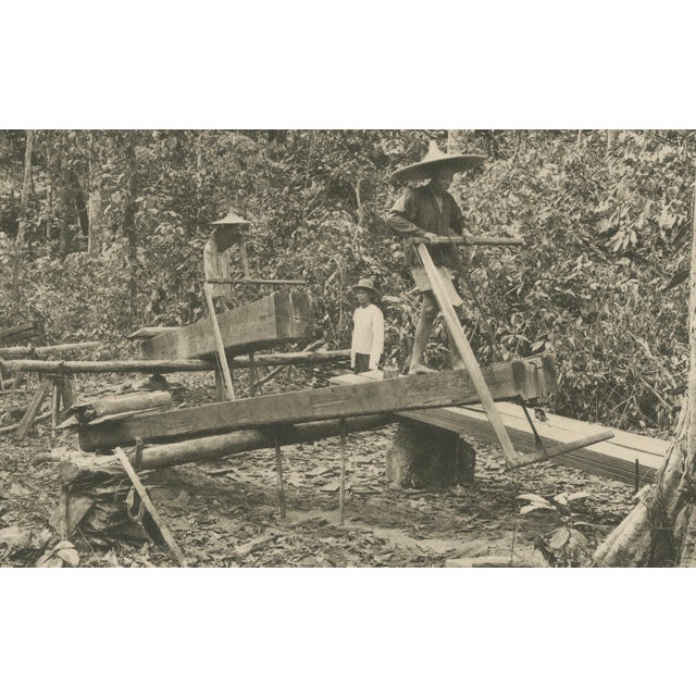 Logging Elephants, 1890s, Paper For Sale - Image 5 of 10