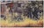 Realism Late 20th Century The Old Wood Cabin, Darwin Musselman For Sale - Image 3 of 4