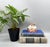 Exquisite vintage porcelain trinket box by Andrea by Sadek, crafted in the tradition of classic Limoges-style hinged...