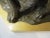 Bronze Dog, Dan Ostermiller, Lab, Labrador Sitting Statue, Wooden Bace Artist Signed: 1995, 2/20 For Sale - Image 12 of 12