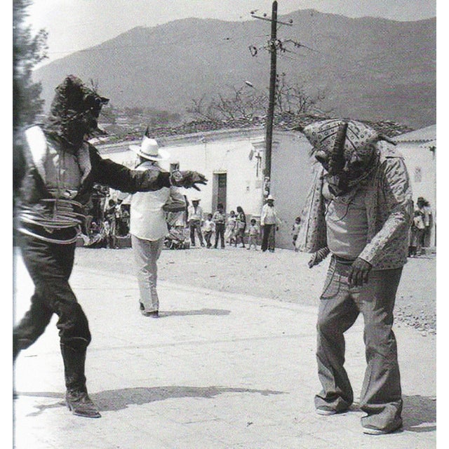 Vintage Ceremonial Jaguar (Tigre) Mask, Zitlala, Guerrero, Mexico For Sale - Image 14 of 18