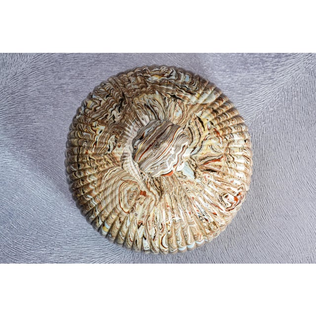 Ceramic Rare 19th Century Antique Victorian Copeland & Garrett Agateware Pottery Cheese Dish and Lid English Ceramic Art Pottery For Sale - Image 7 of 18