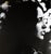 APPLE Think Different Joan Baez High-quality digital print On glossy paper, 61 x 91 cm (approx. 24 x 32 inches) Excellent...