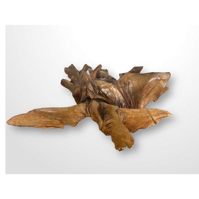 Large Natural Abstract Sculpture, 20th Century, Root Wood For Sale - Image 11 of 17