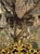19th C. Italian Bronze and Crystal Chandelier For Sale - Image 4 of 9