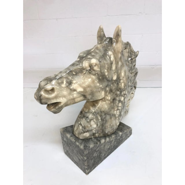 Mid Century Marble Horse Head Bust on Marble Base For Sale - Image 4 of 10