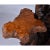 George Nakashima Large Rustic Live Edge Tree Trunk Plant Stand or Art Pedestal For Sale - Image 4 of 13