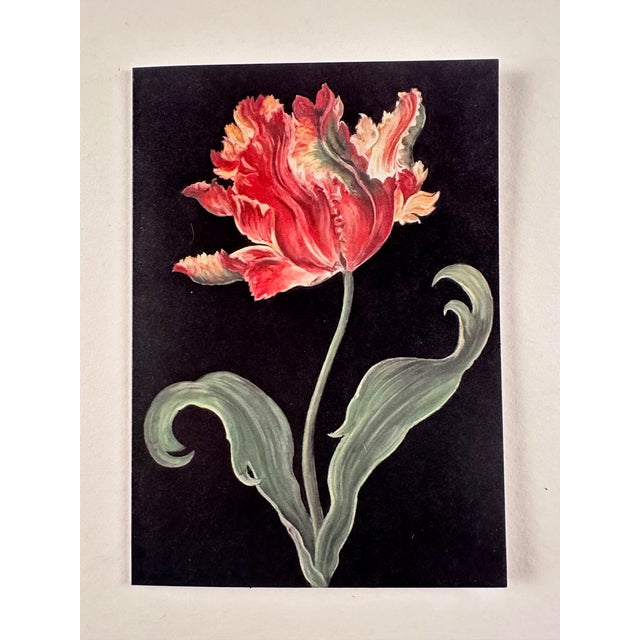 Set of 6 Folded Note Cards Printed From My Pastel Drawings For Sale In New York - Image 6 of 10