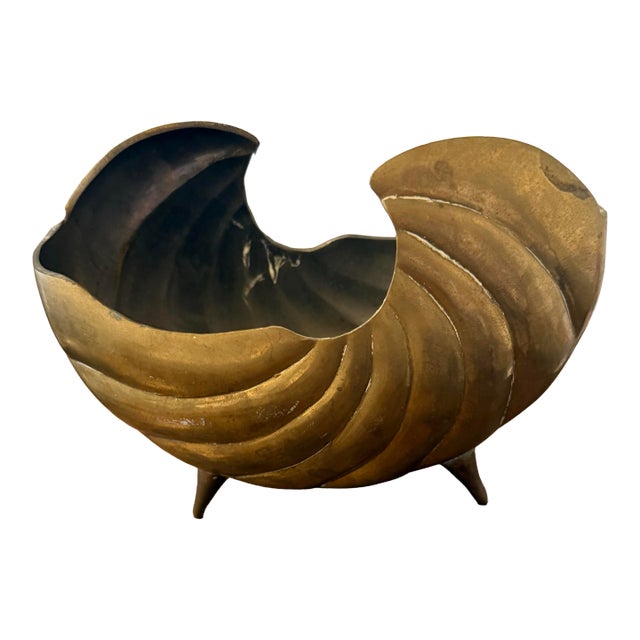Hair Brass Nautilus Shell For Sale