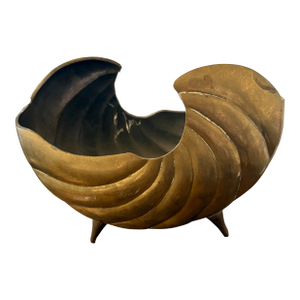 Hair Brass Nautilus Shell