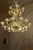 Glass Contemporary Champagne Venetian "Curls" Murano Blown Chandelier For Sale - Image 7 of 7