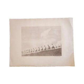 DR Peretti Griva 'Messiboro' Print For Sale