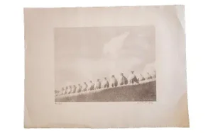 DR Peretti Griva 'Messiboro' Print