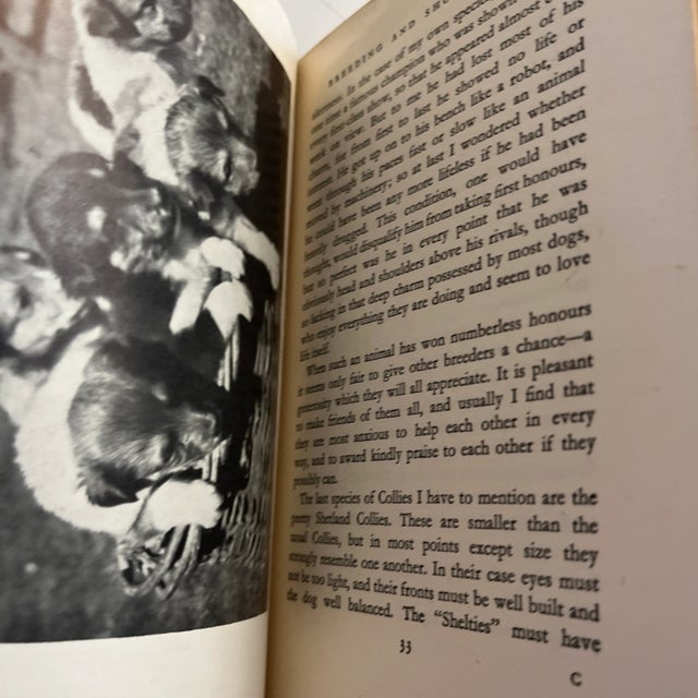 Paper 1948 Collies and Sheep Dogs Book For Sale - Image 7 of 9