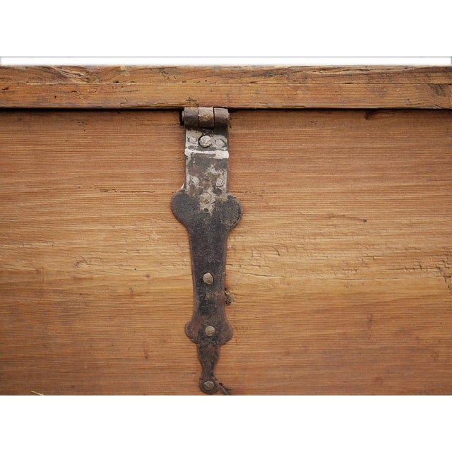 Tyrolean Painted Fir Chest, Late 18th Century For Sale - Image 18 of 18