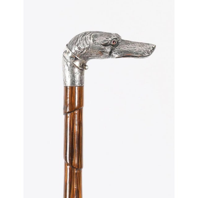 Antique Greyhound Head Sliver Handled Walking Stick Cane, 1890s For Sale - Image 9 of 12