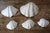 Set of 5 Large Natural Nautical Seashells | Coastal Beach House Decor | Organic Sculptural Display For Sale - Image 13 of 18