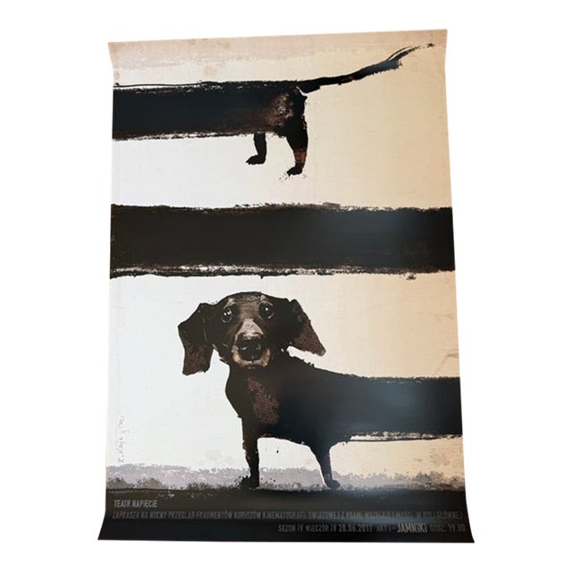 R.Kaja, Dachshund in Films, Night With Film, Poster, 2017 For Sale