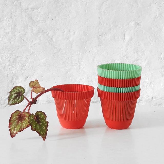 Plastic Vintage Alkastap Plastic Flower Pots, 1960s, Set of 5 For Sale - Image 7 of 7