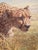 Brian Jarvi's original oil on canvas entitled "The Cheetah" A 39in x 48in including frame - a study of one of Africa's...