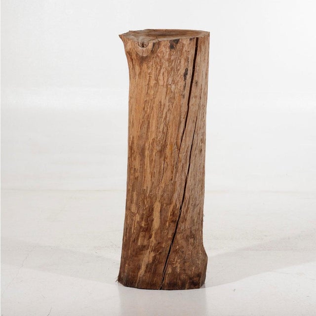 Wood Pedestal in Wood, 1900s For Sale - Image 7 of 7