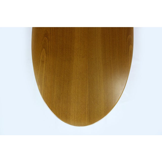 Mid-Century Modern Oval Ash Tulip Coffee Table from Drevotvar Jablonné Nad Orlicí, 1960s For Sale - Image 9 of 13