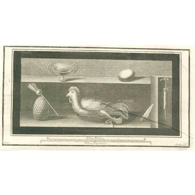 Still Life Pompeian Fresco from "Antiquities of Herculaneum" is an etching on paper realized by Fernando Strina in the...