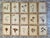 An exceptional collection of fifteen authentic antique herbarium specimens, professionally framed and acquired through...