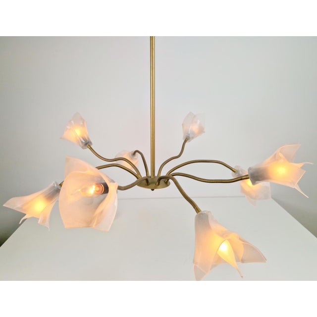 Vintage Flex Pendant Light with Eight Arms in Brass and Acrylic, 1970 For Sale - Image 4 of 15