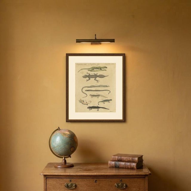 Bertuch, Lizards and Newts, Eight Species, 1805, Print For Sale - Image 10 of 12