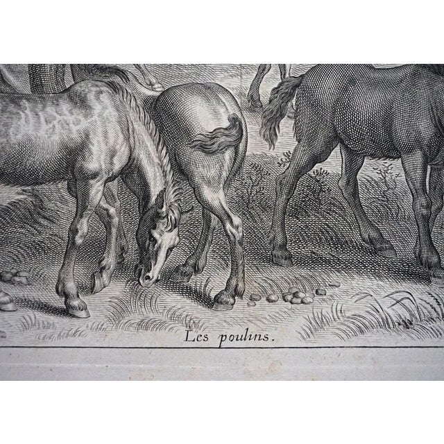 18th Century Equestrian Horsemanship Engravings Framed - A Pair For Sale - Image 9 of 10