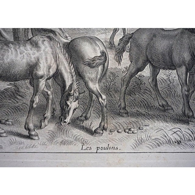 Brown Antique Stud Farm Engraving - a Pair For Sale - Image 8 of 10
