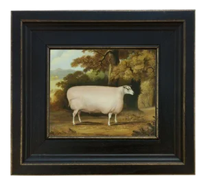 Sheep Reproduction Framed Oil Painting Reproduction Print on Canvas