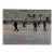 Mikael Levin, Jerusalem, Israel Western Wall Ed of 5 Vintage Silver Gelatin Photograph Print For Sale